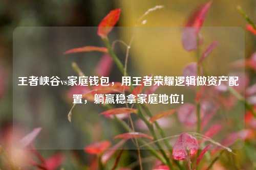 王者峡谷vs家庭钱包，用王者荣耀逻辑做资产配置，躺赢稳拿家庭地位！