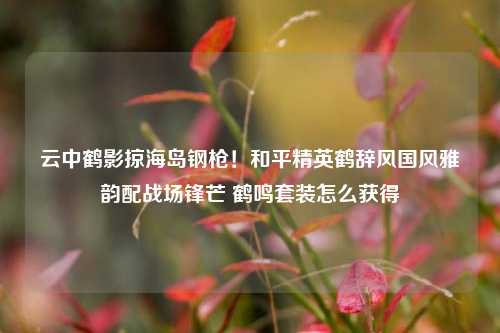 云中鹤影掠海岛钢枪!和平精英鹤辞风国风雅韵配战场锋芒 鹤鸣套装怎么获得