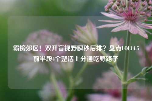 霸榜郊区！双开盲视野瞬秒后排？盘点LOL14.5前半段4个整活上分通吃野路子