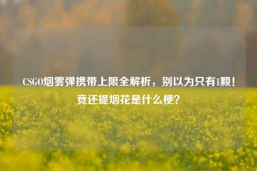 CSGO烟雾弹携带上限全解析,别以为只有1颗!竟还提烟花是什么梗?