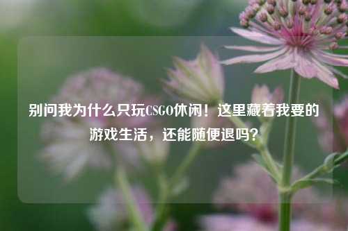 别问我为什么只玩CSGO休闲!这里藏着我要的游戏生活,还能随便退吗?