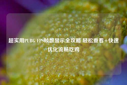 超实用PUBG FPS帧数显示全攻略 轻松查看+快速优化流畅吃鸡