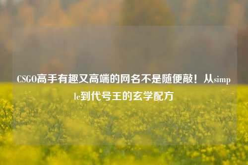 CSGO高手有趣又高端的网名不是随便敲！从simple到代号王的玄学配方