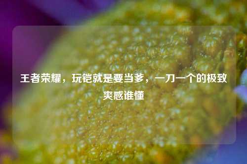 王者荣耀，玩铠就是要当爹，一刀一个的极致爽感谁懂