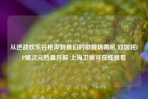 从逆战欢乐谷枪声到我们的歌现场嘶吼 双国民IP破次元热血共振 上海卫视可在线观看