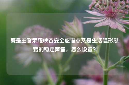 既是王者荣耀峡谷安全感锚点又是生活隐形慰藉的稳定声音，怎么设置？