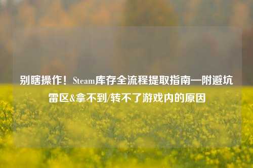 别瞎操作！Steam库存全流程提取指南—附避坑雷区&拿不到/转不了游戏内的原因