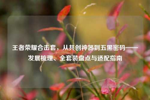 王者荣耀合击套，从共创神器到五黑密码——发展梳理、全套装盘点与适配指南