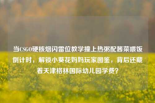 当CSGO硬核烟闪雷位教学撞上热粥配酱菜喂饭倒计时,解锁小葵花妈妈玩家图鉴,背后还藏着天津格林国际幼儿园学费?
