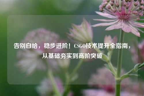 告别白给,稳步进阶!CSGO技术提升全指南,从基础夯实到高阶突破