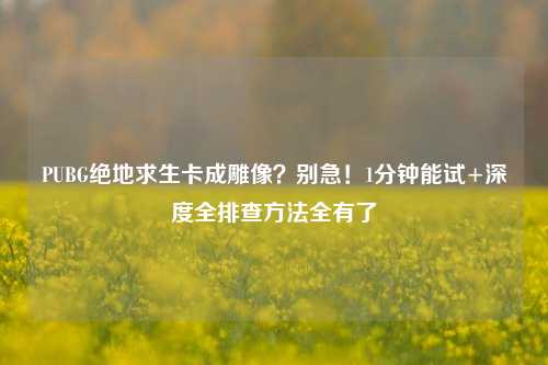 PUBG绝地求生卡成雕像？别急！1分钟能试+深度全排查方法全有了