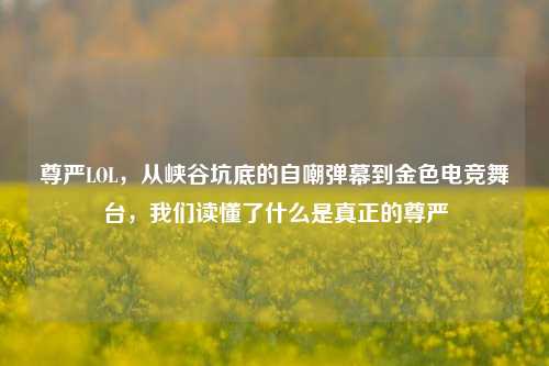 尊严LOL，从峡谷坑底的自嘲弹幕到金色电竞舞台，我们读懂了什么是真正的尊严