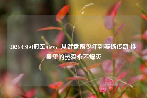 2026 CSGO冠军Alex，从键盘前少年到赛场传奇 准星里的热爱永不熄灭