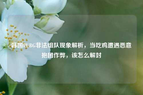 韩国PUBG非法组队现象解析，当吃鸡遭遇恶意抱团作弊，该怎么解封