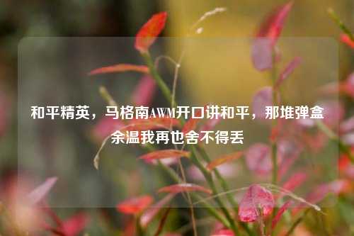和平精英，马格南AWM开口讲和平，那堆弹盒余温我再也舍不得丢