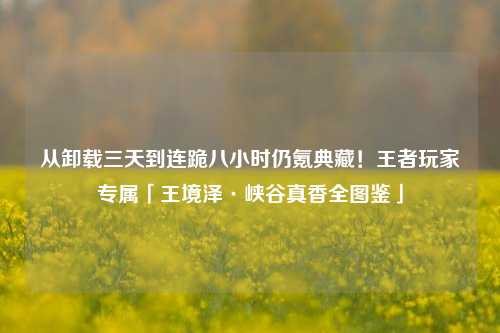 从卸载三天到连跪八小时仍氪典藏!王者玩家专属「王境泽·峡谷真香全图鉴」