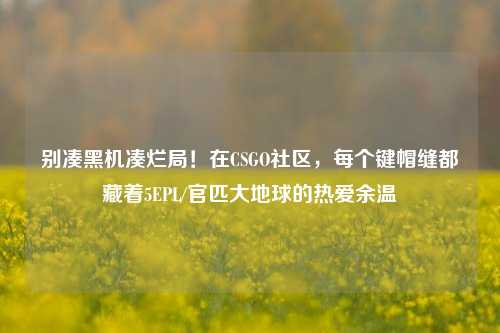 别凑黑机凑烂局！在CSGO社区，每个键帽缝都藏着5EPL/官匹大地球的热爱余温