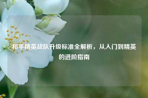 和平精英战队升级标准全解析,从入门到精英的进阶指南