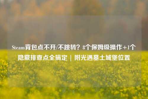 Steam背包点不开/不跳转？8个保姆级操作+1个隐藏排查点全搞定 | 附光遇墓土城堡位置