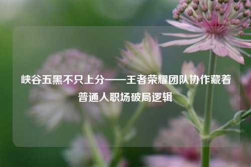 峡谷五黑不只上分——王者荣耀团队协作藏着普通人职场破局逻辑