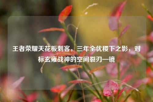 王者荣耀天花板刺客，三年全优稷下之影，对标玄雍战神的空间裂刃—镜
