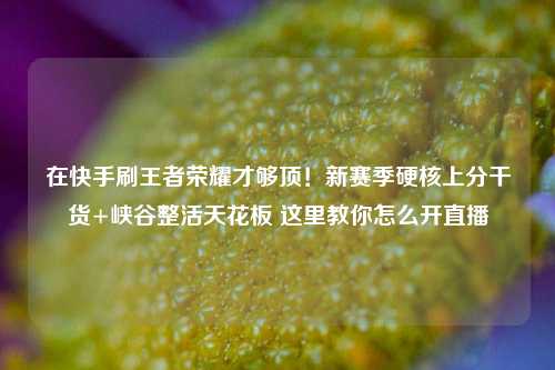 在快手刷王者荣耀才够顶!新赛季硬核上分干货+峡谷整活天花板 这里教你怎么开直播
