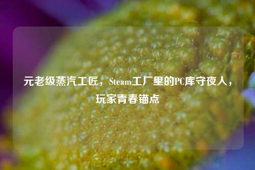 元老级蒸汽工匠，Steam工厂里的PC库守夜人，玩家青春锚点