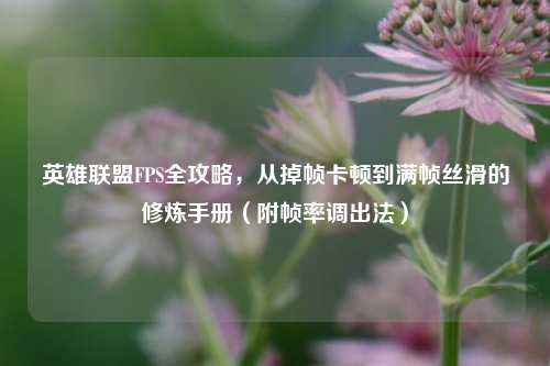 英雄联盟FPS全攻略，从掉帧卡顿到满帧丝滑的修炼手册（附帧率调出法）