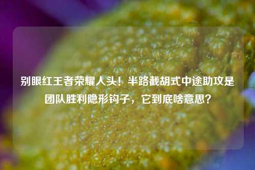 别眼红王者荣耀人头!半路截胡式中途助攻是团队胜利隐形钩子,它到底啥意思?