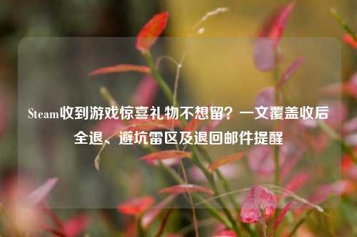 Steam收到游戏惊喜礼物不想留？一文覆盖收后全退、避坑雷区及退回邮件提醒