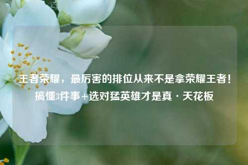 王者荣耀，最厉害的排位从来不是拿荣耀王者！搞懂3件事+选对猛英雄才是真·天花板