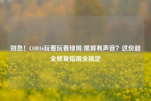 别急！COD16玩着玩着绿屏/黑屏有声音？这份超全修复指南全搞定