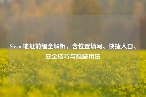 Steam地址前缀全解析，含位置填写、快捷入口、安全技巧与隐藏用法