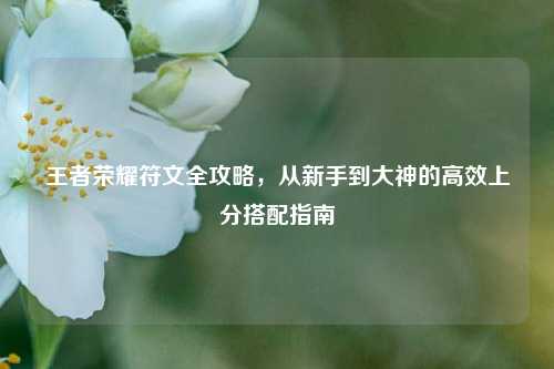 王者荣耀符文全攻略,从新手到大神的高效上分搭配指南