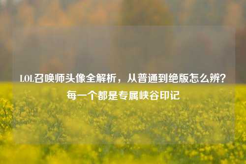 LOL召唤师头像全解析,从普通到绝版怎么辨?每一个都是专属峡谷印记