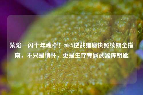 紫焰一闪十年魂牵！202X逆战猎魔执照续期全指南，不只是情怀，更是生存专属武器库钥匙