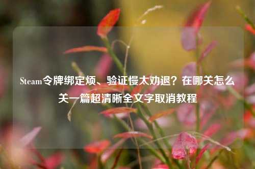 Steam令牌绑定烦、验证慢太劝退？在哪关怎么关一篇超清晰全文字取消教程