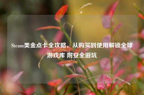 Steam美金点卡全攻略，从购买到使用解锁全球游戏库 附安全避坑