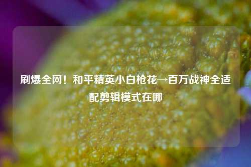 刷爆全网！和平精英小白枪花→百万战神全适配剪辑模式在哪