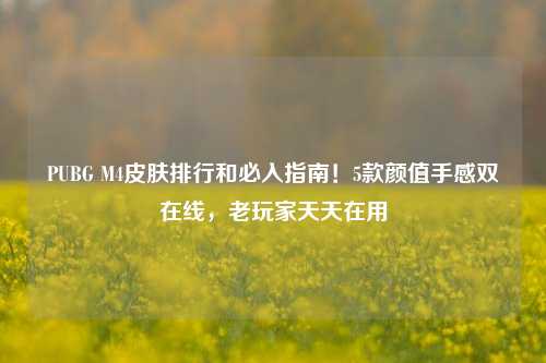 PUBG M4皮肤排行和必入指南！5款颜值手感双在线，老玩家天天在用