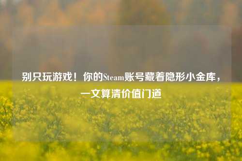 别只玩游戏!你的Steam账号藏着隐形小金库,一文算清价值门道