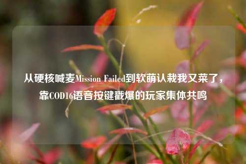 从硬核喊麦Mission Failed到软萌认栽我又菜了，靠COD16语音按键戳爆的玩家集体共鸣