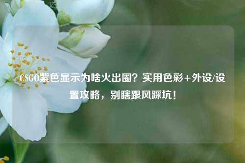 CSGO紫色显示为啥火出圈?实用色彩+外设/设置攻略,别瞎跟风踩坑!