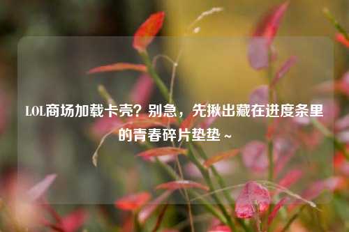 LOL商场加载卡壳?别急,先揪出藏在进度条里的青春碎片垫垫~