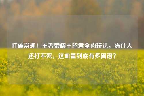 打破常规!王者荣耀王昭君全肉玩法,冻住人还打不死,这血量到底有多离谱?