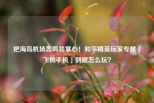 把海岛机场轰鸣装掌心!和平精英玩家专属「飞机手机」到底怎么玩?