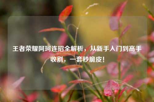 王者荣耀阿珂连招全解析，从新手入门到高手收割，一套秒脆皮！