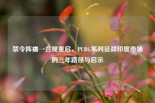 禁令阵痛→合规重启,PUBG系列征战印度市场的三年路径与启示