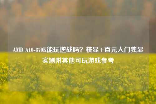 AMD A10-870K能玩逆战吗？核显+百元入门独显实测附其他可玩游戏参考
