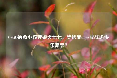 CSGO治愈小核弹柴犬七七，凭啥靠doge成战场快乐源泉？